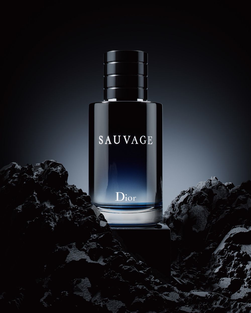 Dior Sauvage EDT – 100ml | Fresh, Crisp & Magnetic Masculine Fragrance